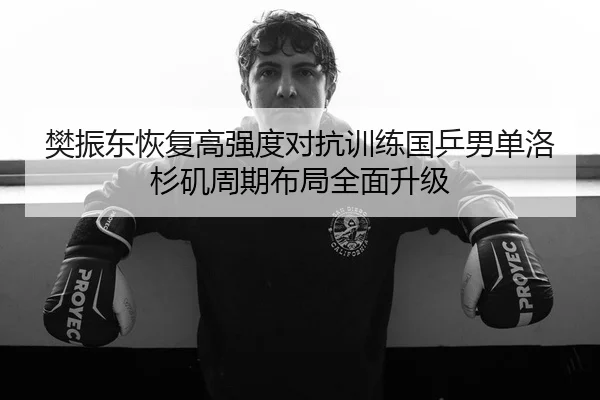 樊振东恢复高强度对抗训练国乒男单洛杉矶周期布局全面升级